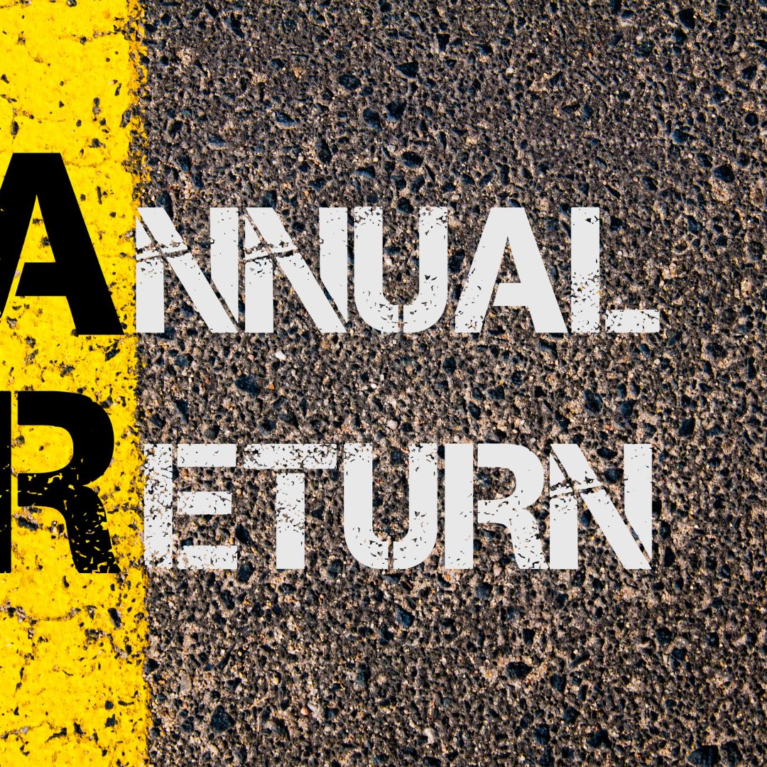 ANNUAL RETURN