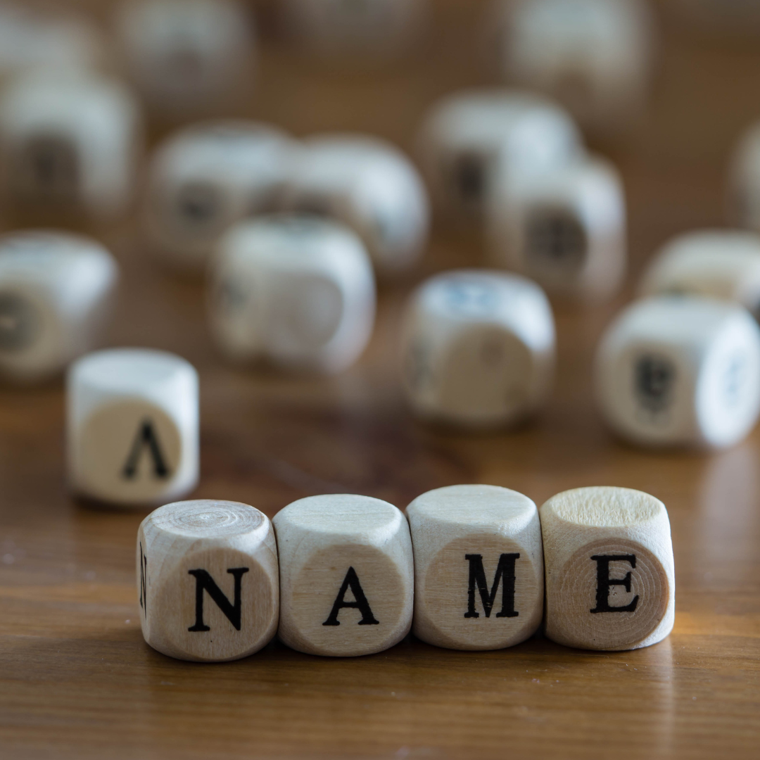 BUSINESSES YOU CANNOT REGISTER UNDER THE BUSINESS NAME STRUCTURE